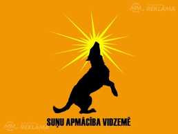 Suņu skolas nodarbības Cēsīs un Siguldā sertificēta kinologa vadībā - - MM.LV