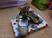 Золотые туфли с бабочками - MM.LV
