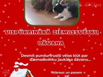 Pundurtruši Pundurtruši - MM.LV
