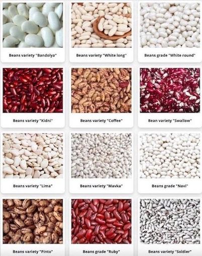 Commodity beans in assortment - MM.LV