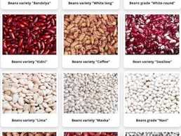 Commodity beans in assortment Commodity beans in assortment - MM.LV