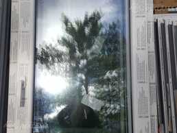 Logi 700x1200 - MM.LV