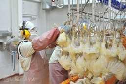 Работа в Бельгии. Зарплата 17.19 евро/час (брутто) - MM.LV