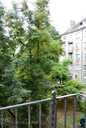 Apartment in Riga, Teika, 56 м², 2 rm., 3 floor. - 3 Apartment in Riga, Teika, 56 м², 2 rm., 3 floor. - MM.LV - 3