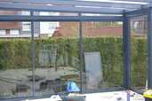 Stikla veranda, terase, stikla jumts ar tonēto, rūdītu stiklu - MM.LV - 5