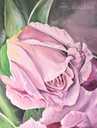 Розовые розы на большом холсте , акриловая живопись - MM.LV - 3