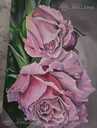 Розовые розы на большом холсте , акриловая живопись - MM.LV - 7