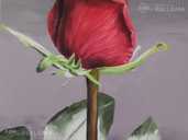 Красная роза акрилом , роза на темном фоне цветочная живопись - MM.LV