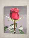 Красная роза акрилом , роза на темном фоне цветочная живопись - MM.LV - 4