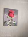 Красная роза акрилом , роза на темном фоне цветочная живопись - MM.LV - 6