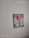 Красная роза акрилом , роза на темном фоне цветочная живопись - MM.LV - 8