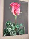 Красная роза на темно сером фоне , акриловая живопись , цветочживопись - MM.LV - 3