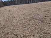 Land property in Ventspils and district. - MM.LV - 1