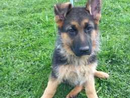 продается - MM.LV