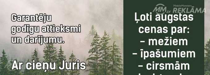 Augsta Cena par Mežu īpašumiem un Cirsmām Visā Latvijā - MM.LV