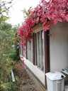 Summer cottage 50 m², 2 fl., 2 rm.. - MM.LV - 4