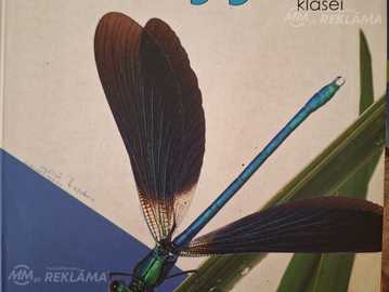 Биология и Химия - MM.LV