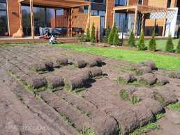 Требуется - MM.LV