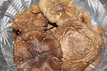 Panteru mušmire/Amanita Pantherina/Мухомор пантерный Panteru mušmire/Amanita Pantherina/Мухомор пантерный - MM.LV