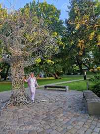 Romantiskai draudzībai Romantiskai draudzībai - MM.LV