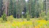 Land property in Riga district, Ragana. - MM.LV