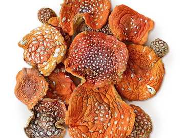 2024. gada sarkanā Amanita.  Tikai viengabala cepures, bez smiltīm un 2024. gada sarkanā Amanita.  Tikai viengabala cepures, bez smiltīm un - MM.LV