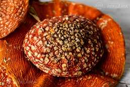 Greetings to all from Vladimir Grom, the manufacturer of dried fly aga Greetings to all from Vladimir Grom, the manufacturer of dried fly aga - MM.LV
