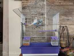 Продаю клетку для попугаев - MM.LV