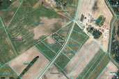 Exclusive Land Plot for a Family Residence in Līvāni Municipality. - 12 Exclusive Land Plot for a Family Residence in Līvāni Municipality. - MM.LV - 12