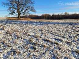 Земельный участок в Мадоне. - MM.LV