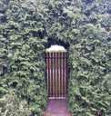 House Riga district, Tiraine, 150 m², 1.5 fl., 3 rm.. - MM.LV - 4