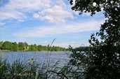 Land property in Kraslava and district. - MM.LV
