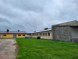 Farm, 4.60 ha. Farm, 4.60 ha. - MM.LV