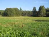 Land property in Balvi and district. - MM.LV