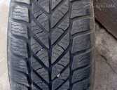 Riepas Poland Frico, 185/65/R14, Lietotas. - MM.LV
