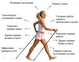 Скандинавская ходьба с палками - MM.LV - 2