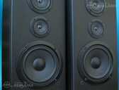 Pioneer cs-301 - MM.LV