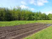 House Daugavpils district, 103.8 m², 1 fl., 3 rm.. - MM.LV - 2