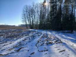 Land property in Bauska and district. Land property in Bauska and district. - MM.LV