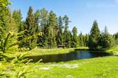 Viensēta, 10.60 ha. - MM.LV - 10