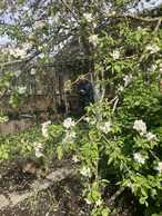 Garden 340 m². - MM.LV