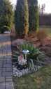House Riga district, Medemciems, 132 m², 3 fl., 5 rm.. - MM.LV - 5