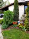 House Riga district, Medemciems, 132 m², 3 fl., 5 rm.. - MM.LV - 9