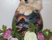 Maltipoo F1 mini - MM.LV