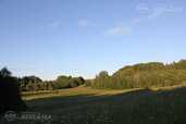 Land property in Aluksne and district. - MM.LV - 5