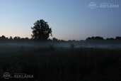Land property in Aluksne and district. - MM.LV - 6