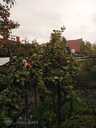 House Daugavpils, Jaunbuve, 102 m², 1 fl., 4 rm.. - MM.LV - 5