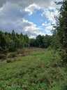 House Daugavpils district, 100 m², 1 fl., 3 rm.. - MM.LV - 12
