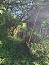 Garden 150 m². - MM.LV - 3