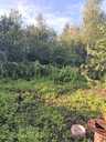 Garden 150 m². - MM.LV - 4